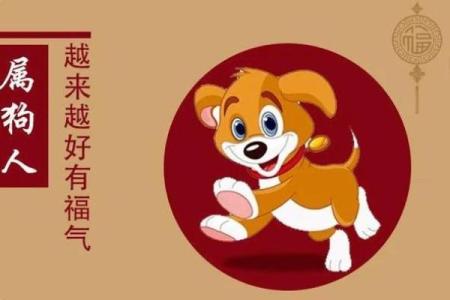 探秘狗年出生的命格：忠诚与智慧的结合