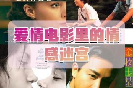 探寻命爱的奥秘：命运与爱情的深度交织