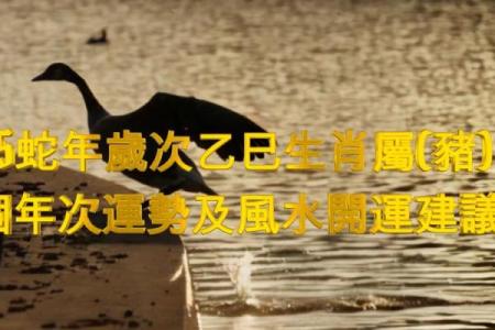 1995年属猪：命运与人生的交响曲
