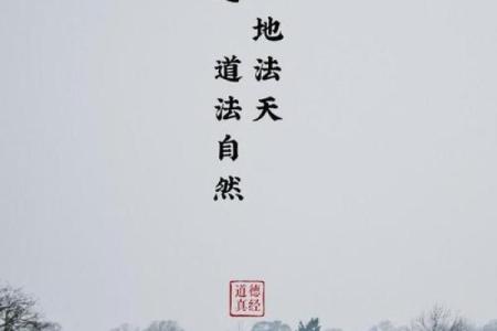 看破天机的人是什么命：揭示命理的深层秘密与人生智慧