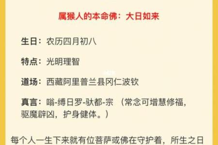 2016年属猴的命运解析：揭示智慧与机遇的成功之路
