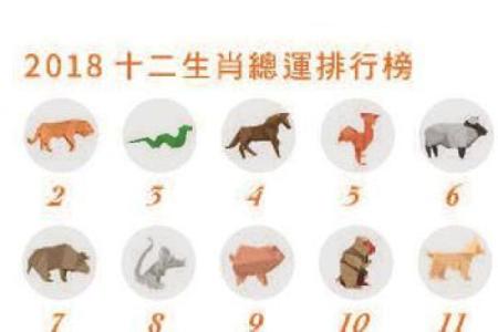 2018年狗年土命解析：如何将运势与生活融合？