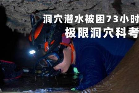 海边金命：探索生命的宽广与珍贵宝藏
