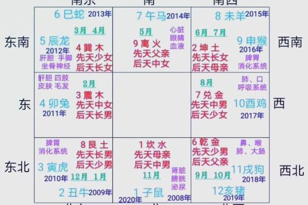 2002年出生命运解析：探讨你的命格与人生轨迹