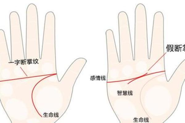 手指硬的男人：命运与性格的微妙关系