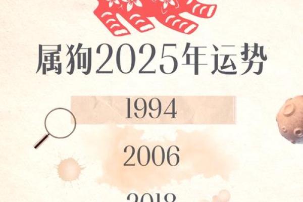 属狗者40岁命运解析：从事业到家庭的全面探讨