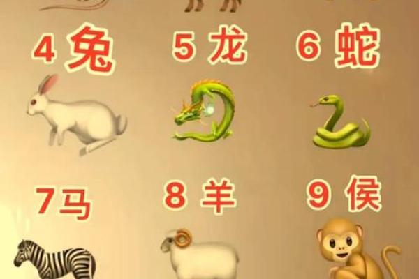 揭秘2017年农历命理：探索不同生肖的命运与个性