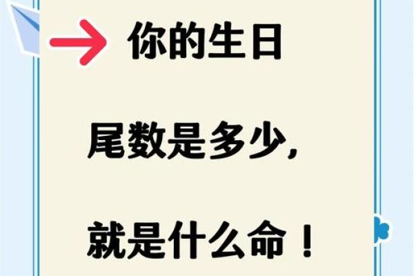 探索幸运数字的秘密，揭示你的命运之道！