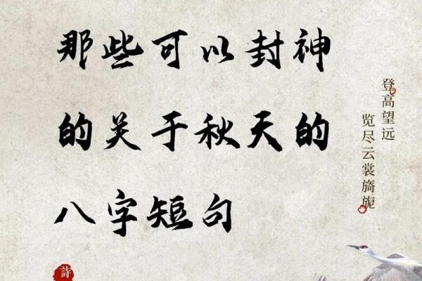 命带菊花的含义与人生启示：探索命理中的独特象征