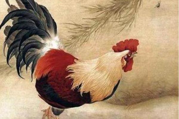 金鸡木命与颜色搭配：提升气运的秘密