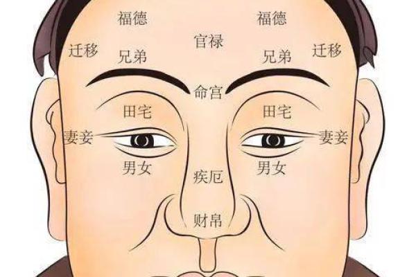 面相揭秘：看脸上的富贵纹，揭示你的命运之道！