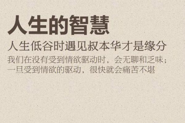 探讨土命车牌数字的意义与影响，揭示隐藏在数字背后的智慧与人生指导