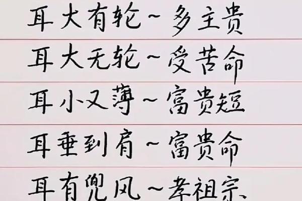 揭秘：男子什么体型富贵命最好，助你掌握人生方向！