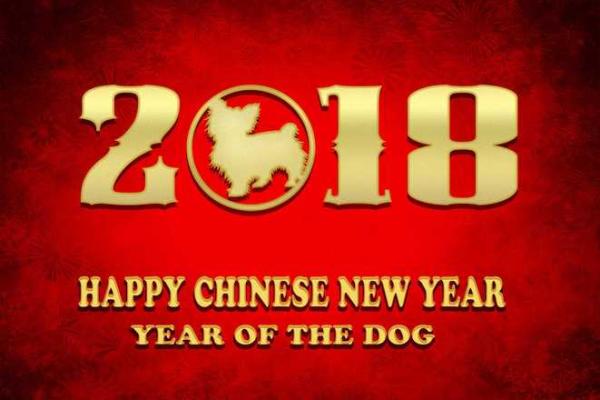 属虎的幸运命运：如何在鼠年乘风破浪