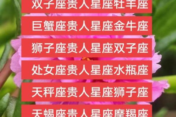 命理格局与炒股：哪些星座和八字更适合投资？