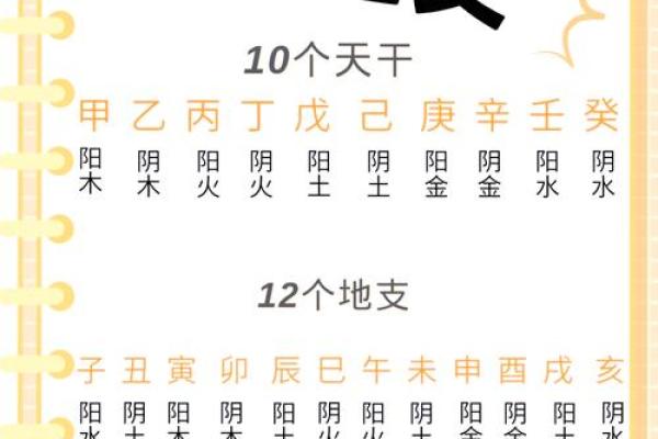 探索1995年出生者的五行命理与人生智慧