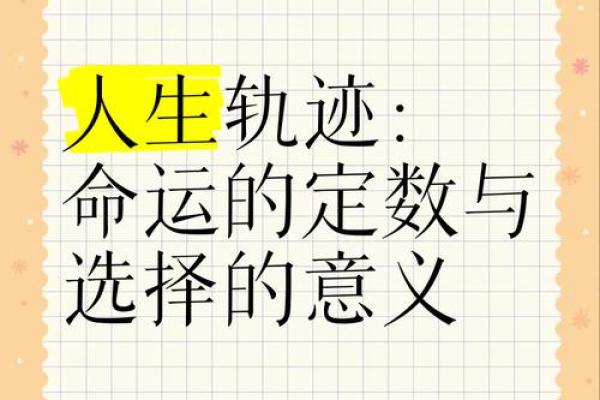 探索2021年出生者的命理属性与人生轨迹