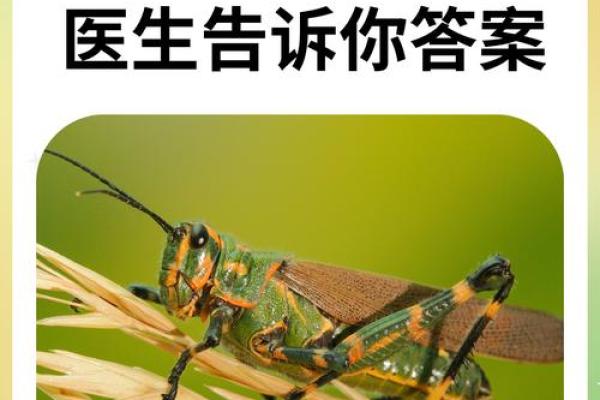 蚂蝗的生存之道：为何在恶劣环境中也能顽强生存？