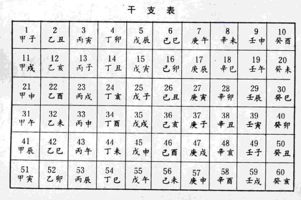 巳时属马：八字命理揭秘与运势分析