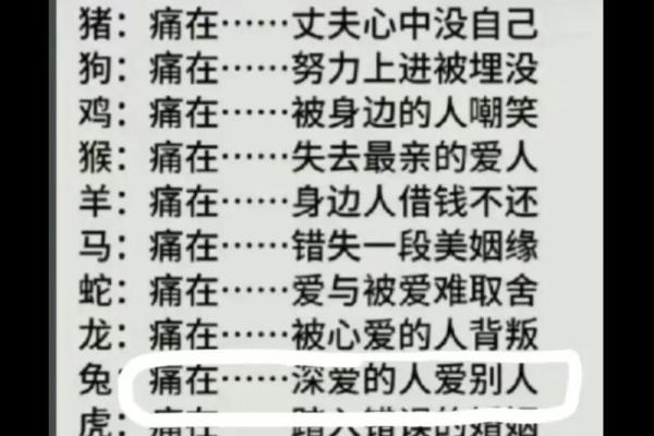 2023年各生肖运势解析：揭开命运的神秘面纱