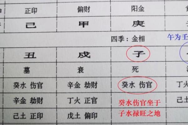2019年出生男孩的命运解析：八字背后隐藏的人生秘密