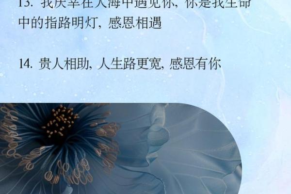 命格中的锦上添花，人生的美妙加成