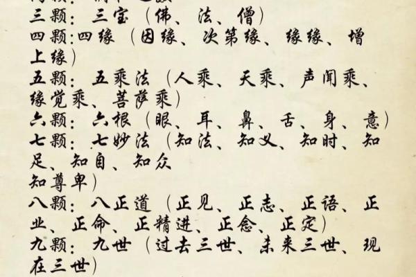 关于“一条命打三条命”的深刻寓意与启示