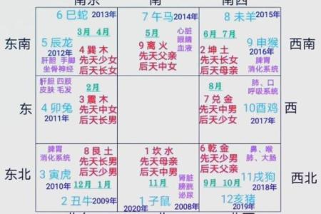 2002年出生命运解析：探讨你的命格与人生轨迹