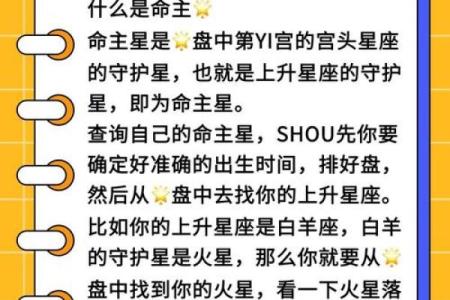 命主金的深意：探寻金属性命理的奥秘与魅力
