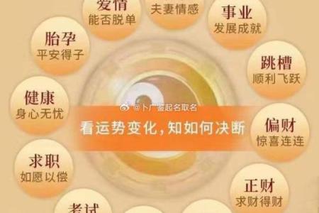 探寻命理的奥秘：如何通过命理学改善人生运势