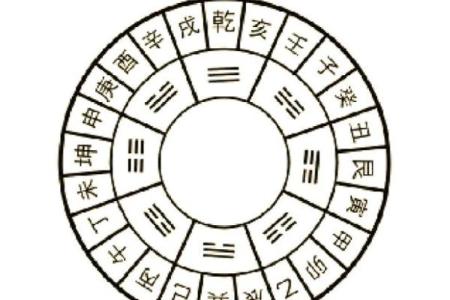 1994年出生的你，命运与运势的奥秘解析