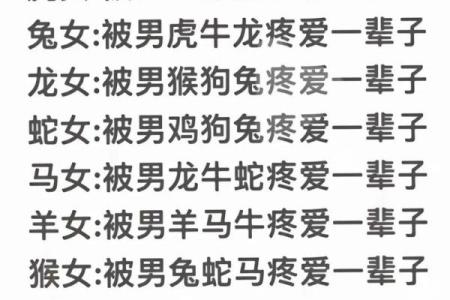 1994年属狗女孩的命运解析：与幸福相伴的生活之路