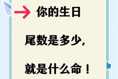 探索幸运数字的秘密，揭示你的命运之道！