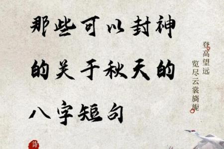 命带菊花的含义与人生启示：探索命理中的独特象征