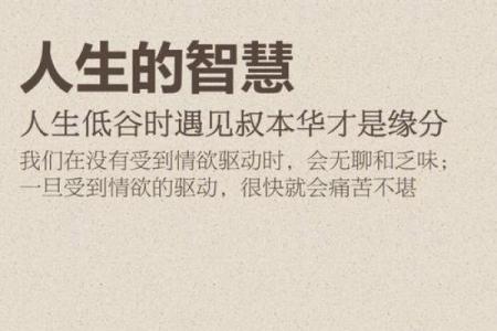 探讨土命车牌数字的意义与影响，揭示隐藏在数字背后的智慧与人生指导