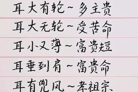揭秘：男子什么体型富贵命最好，助你掌握人生方向！