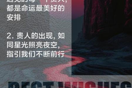 1965年出生命运女性的独特人生旅程与启示