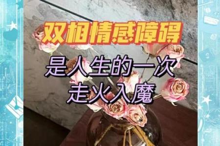命里缺妻：破解人生中的情感之谜