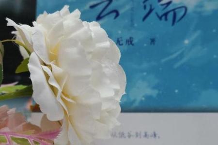 命归我佛：探寻生命的意义与自我救赎之路