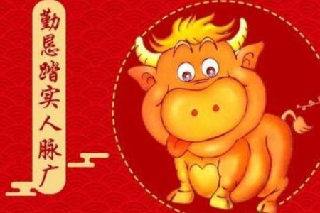 1973年牛年出生者的命运与人生启示