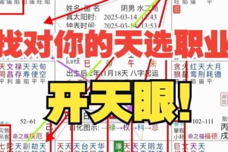 紫微斗数命理师：适合成为职业命理师的命格解析