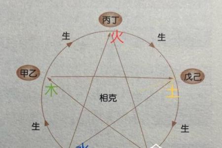 2005年出生的鸡：五行分析与命理解读