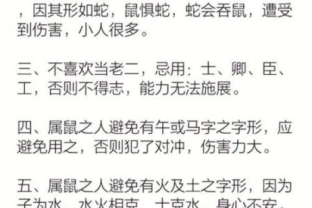 2023年鼠年宝宝命理解析：他们的未来与性格潜能