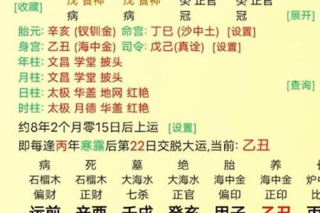 癸酉日出生者命运解析：揭开命理的神秘面纱！