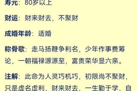 1981年出生女性的命运解析与人生选择
