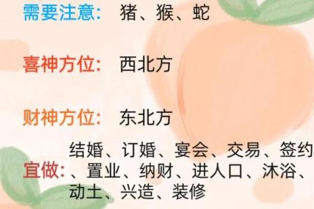 2023年各生肖运势解析：揭开命运的神秘面纱