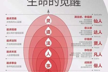 探索人生的意义：命运与选择的交织旅程