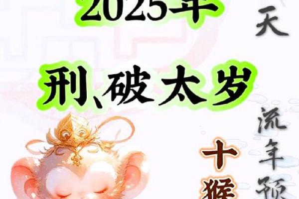 生肖与寡妇命：探究不同行的命运之谜