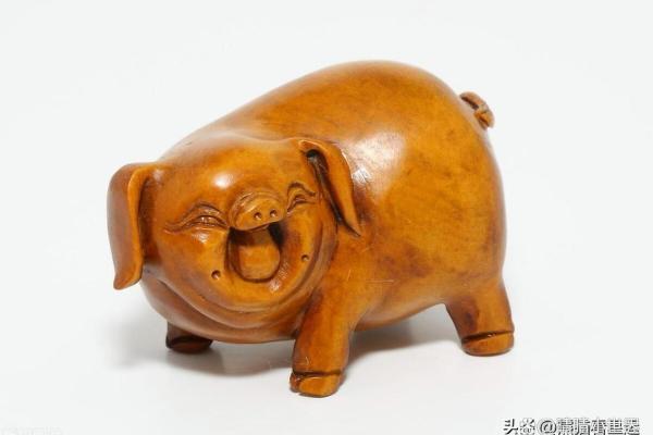 51岁属猪命运解析：走进人生的黄金阶段