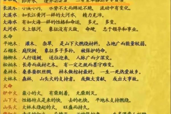 甲子海中金命的人适合佩戴哪些饰品？探索最佳选择与意义！
